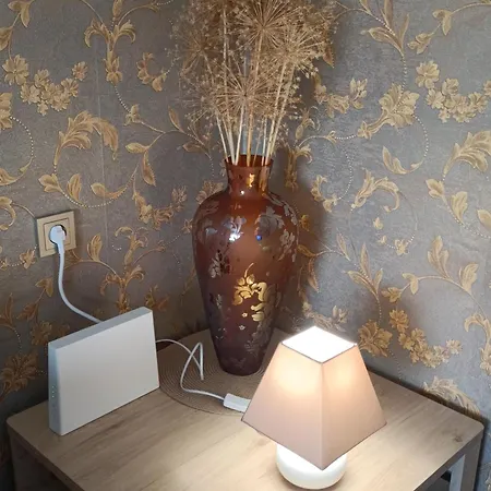 Apartamentai Sviesa 2 帕兰加