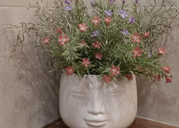 Apartamentai Sviesa 2 Palanga